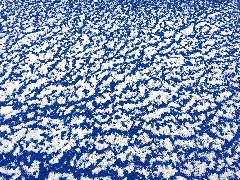 Pattern (16161155700)