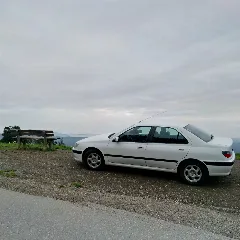 Peugeot 406 In Landscape
