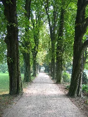 Poensgenpark Kastanienallee 2006 09 17 13 58 19
