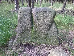 Predigerstein