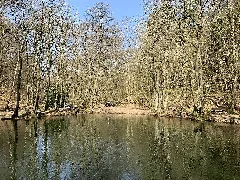 Reichenbach, Forellenweiher (1)