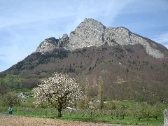 Rheinau Panoramio (1)