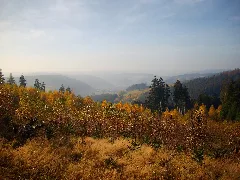 Richtung Ludwigsstadt Panoramio