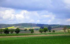 Rohrwald Donaugraben