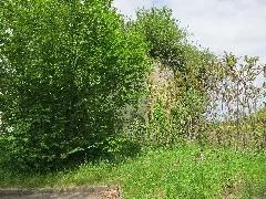 Roost A 3836 02