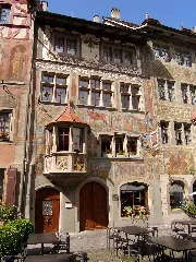 Roterochsen.steinamrhein