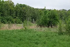Sac Kleine Schorfheide Havel 2021 05 29 23