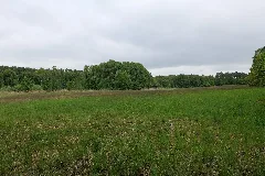 Sac Kleine Schorfheide Havel 2021 05 29 25
