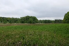 Sac Kleine Schorfheide Havel 2021 05 29 26