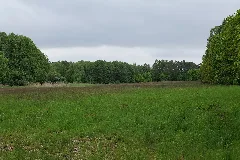 Sac Kleine Schorfheide Havel 2021 05 29 27