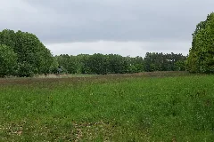 Sac Kleine Schorfheide Havel 2021 05 29 28
