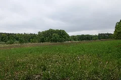 Sac Kleine Schorfheide Havel 2021 05 29 29