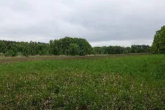 Sac Kleine Schorfheide Havel 2021 05 29 30