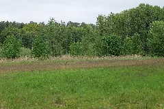Sac Kleine Schorfheide Havel 2021 05 29 31