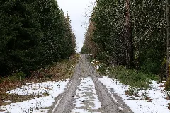 Salzleckenweg 2020 03 11 02