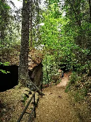 Saxon Switzerland National Park 48