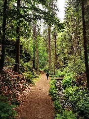 Saxon Switzerland National Park 49