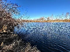 Schallweiher