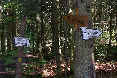 "Schilderwald" Panoramio