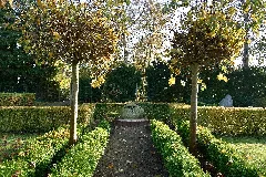 Schleswig Holstein, Glückstadt, Friedhof Nik 0909