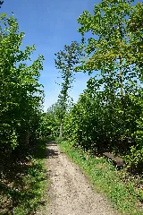 Schleswig Holstein, Mildstedt, Naturerlebnisraum Nik 6535