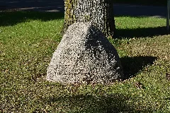 Schleswig Holstein, Ostrohe, Friedenseiche Nik 2098