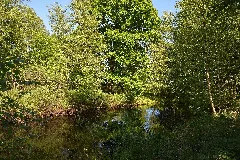 Schleswig Holstein, Tellingstedt, Landschaftsschutzgebiet Großes Moor Kätner Moor Nik 7071