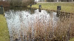 Schleusenbecken Alter Eider Kanal