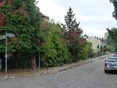 Schwarzkogelweg (Berlin Mariendorf)
