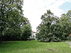 Selm, Germany Panoramio