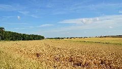 Sommerlandschaft Flickr Tobi Ndh