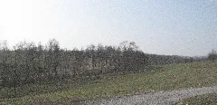 Steinbach Als Wiesenbach Im Unterkeuper, Blick Nach W Vom Talhang Unterhalb Der Vellberger Markgrafenallee