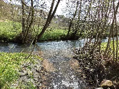 Steinbachmündung (Jossa)