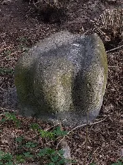 Tränke Mit Schwan