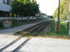 Vogelsang Bf 01