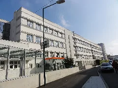 Vogelweiderstraße 2 4, Wels