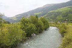 Wald Im Pinzgau Salzach 2024 06 20