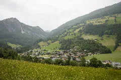 Wald Im Pinzgau Vorderkrimml Ansicht 2024 06 20 A
