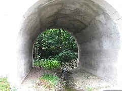 Wandersteinbach, 63, Bonaforth, Hann. Münden, Landkreis Göttingen