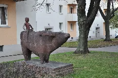 Wasserbüffel Und Knabe