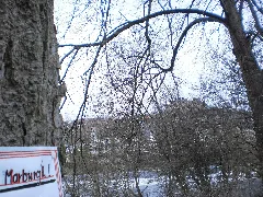 Weir In Lahn River, Marburg Weidenhausen Bank With Old Trees (Linde) At Trojedamm Promenade 2018 04 03
