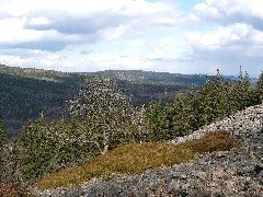 Weiße Mauer Taunus