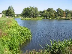 Werdermuehle Fishponds1
