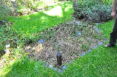 Wikipedia 13. Fotoworkshop Botanischer Garten Erlangen 2013 By Raboe 021