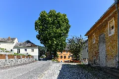 Wtb 20220722 Julbach Ortslinde 9359