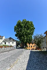 Wtb 20220722 Julbach Ortslinde 9360
