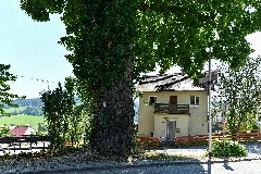 Wtb 20220722 Julbach Ortslinde 9361