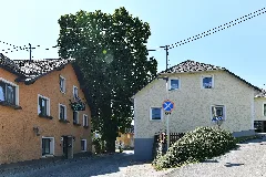 Wtb 20220722 Julbach Ortslinde 9362