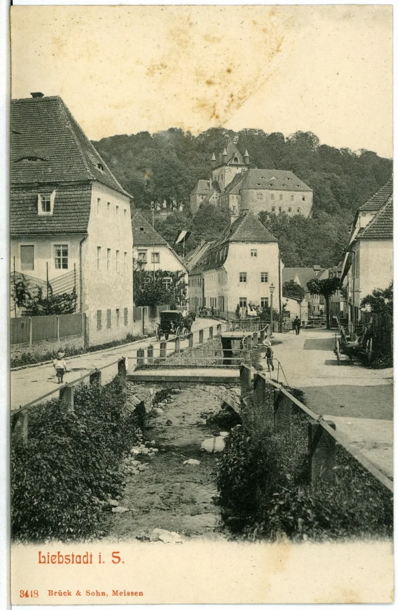 03448 Liebstadt 1903 Stadtansicht Brück & Sohn Kunstverlag