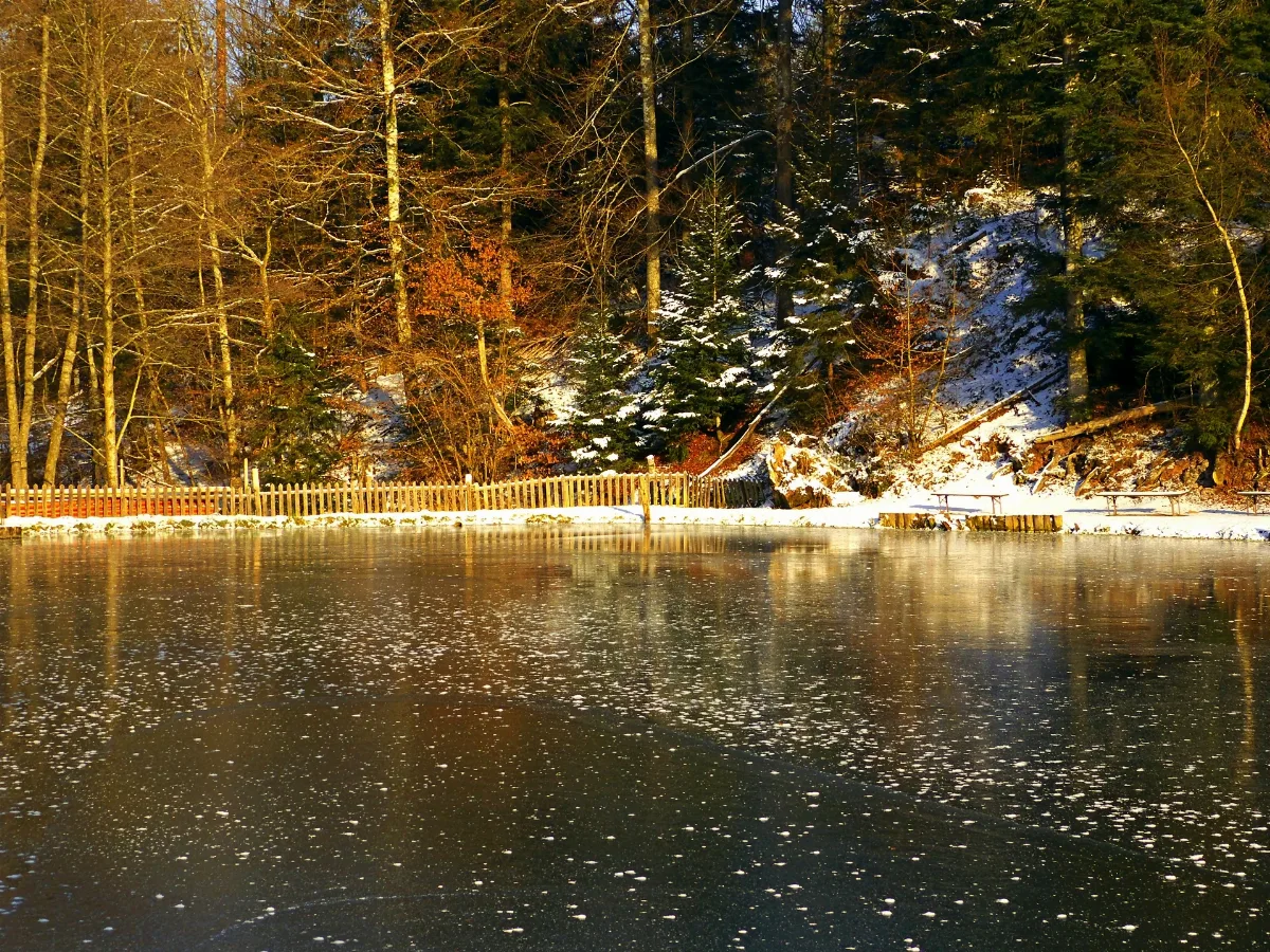 12°C Panoramio